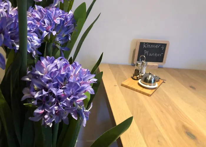 Boetiek Van Hotell Schagen