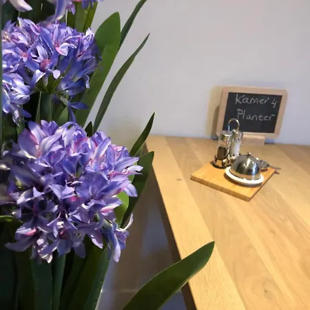 Boetiek Van Hotell Schagen